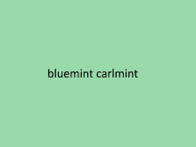 Bluemintcarlmint Bmcm GIF - Bluemintcarlmint Bmcm GIFs