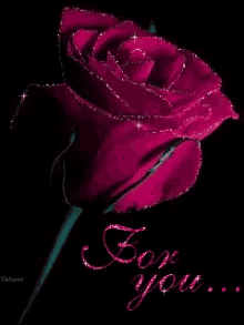 Flower Rose GIF - Flower Rose For You GIFs