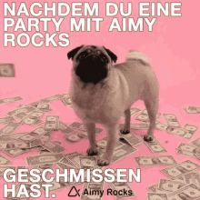 Aimy Rocks GIF - Aimy Rocks Aimyrocks GIFs