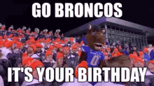 Broncos Go GIF - Broncos Go Boisestate GIFs