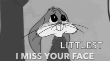 I Miss Your Face Tears GIF - I Miss Your Face Tears Bugs Bunny GIFs