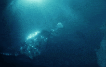 Godzilla Swim GIF - Godzilla Swim Underwater GIFs