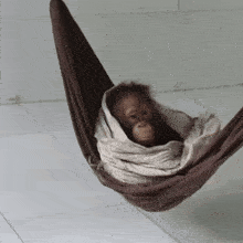 a small monkey is wrapped in a brown and white cloth