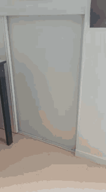 Out Of The Closet Satisfied GIF - Out Of The Closet Satisfied Paper Bag GIFs