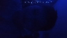 a dark room with a blue light shining through the ceiling