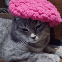 спасибо Cat GIF - спасибо Cat Meme Cat GIFs