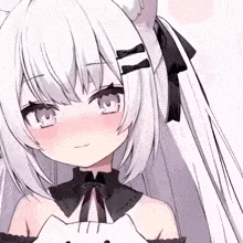a close up of a anime girl with white hair and cat ears