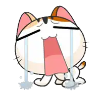 a calico cat is crying with tears coming out of its eyes