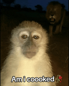 a picture of a monkey with the words am i cooked below it