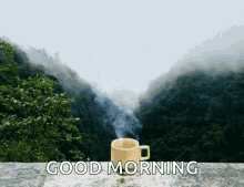 Tea Coffee GIF