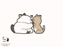 Cat Cute GIF - Cat Cute Kiss GIFs