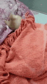 a person is laying on a bed with a pink blanket and a purple pillow .