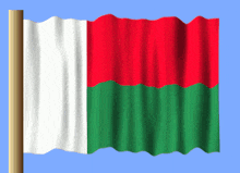 a red white and green flag with a wooden pole