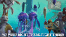 a group of jellyfish are swimming in the ocean with the words " we were right there right there " above them