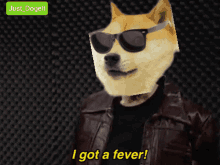 Dogecoin Cowbell GIF - Dogecoin Cowbell Doge GIFs