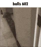 a picture of a door with the words balls 602 on it