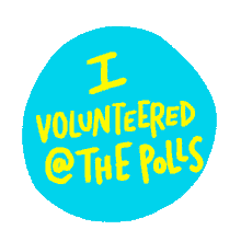 vote volunteer