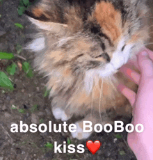 Cat Kitty GIF - Cat Kitty Cat Kiss GIFs