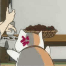 a person is taking a picture of a cat with a red flower on its back .