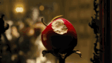 Bitten Apple The School For Good And Evil GIF - Bitten Apple The School For Good And Evil Apple With A Bite GIFs