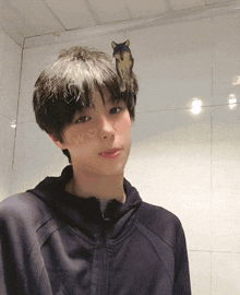 a young man with a cat on his head has the word wow on his face