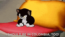 a cartoon cat is sitting on a bed with the words `` i should be in colombia , too ! ''