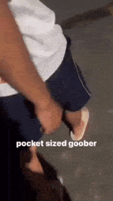 Cat Pocket GIF - Cat Pocket Goober GIFs
