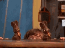 Easter Chocolate GIF - Easter Happyeaster Easterbunny GIFs