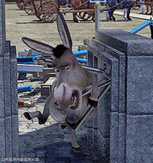 donkey shrek duloc turnstile litedubhopefully