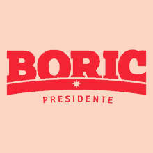 Gabriel Boric Boric GIF - Gabriel Boric Boric Boric Presidente GIFs