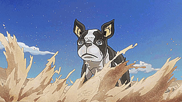 Stand The Fool GIF - Stand The Fool GIFs