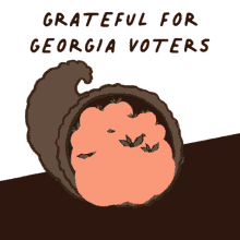 voters grateful