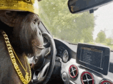 a chimpanzee wearing a crown and a gold chain is driving a car
