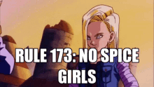 Rule Rule173 GIF - Rule Rule173 Dragon Ball GIFs