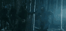 a man is kneeling down in a dark forest holding a light .