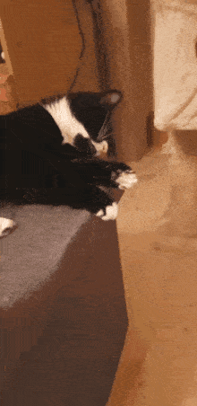 a black and white cat is laying on a couch in a room .