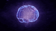 Violet Brain GIF - Violet Brain Animation GIFs