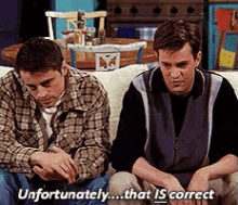 Unfortunately...That Is Correct GIF - Friends Joey Chandler GIFs