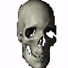 skull skull