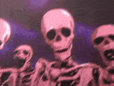 Skeleton Meme Edit GIF - Skeleton Meme Skeleton Skele GIFs