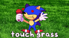 fnf friday night funkin touch grass fnf memes go touch grass