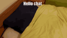 Blahaj Hello Chat GIF - Blahaj Hello Chat Plush GIFs