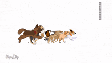 a group of dogs are running in a line with the words flipa clip in the bottom right corner