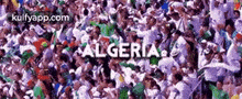 Algeria.Gif GIF - Algeria Person Human GIFs