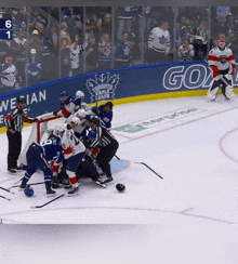 a toronto maple leafs hockey game is in progress