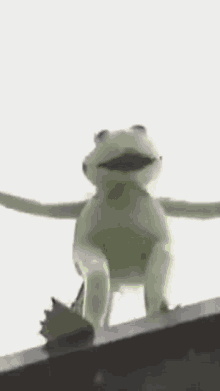 Kermit GIF - Kermit GIFs
