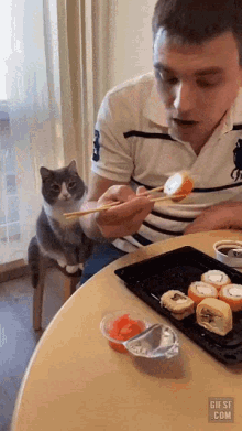 Cats Greed Two GIF - Cats Greed Two GIFs