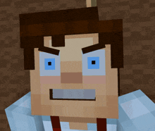 a close up of a minecraft character with blue eyes and brown hair