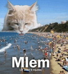 Cat Silly GIF - Cat Silly Mlem GIFs