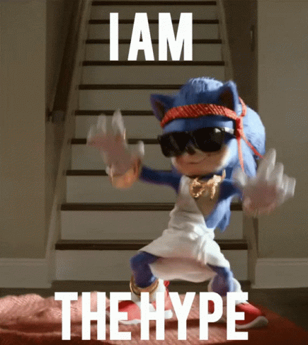 sonic-i-am-the-hype.gif